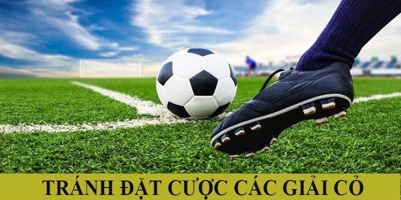 Không nên đặt cược các giải cỏ